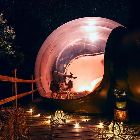 Maso La Marianna Bubble Glamping In Trentino Bed & Breakfast Sant'Orsola Exterior foto